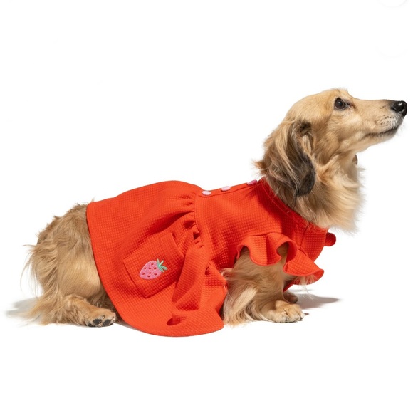 NEW! Strawberry Dress Dog Apparel - Picture 1 of 12